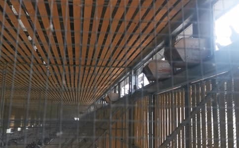 RFID閱讀器與高頻天線助力賽鴿競賽智能化